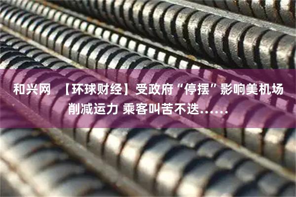 和兴网  【环球财经】受政府“停摆”影响美机场削减运力 乘客叫苦不迭……